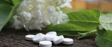 Event-Image for 'Basis-Kurs Sch&uuml;ssler Salze 1-12'