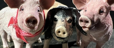 Event-Image for 'Drei kleine Schweinchen'