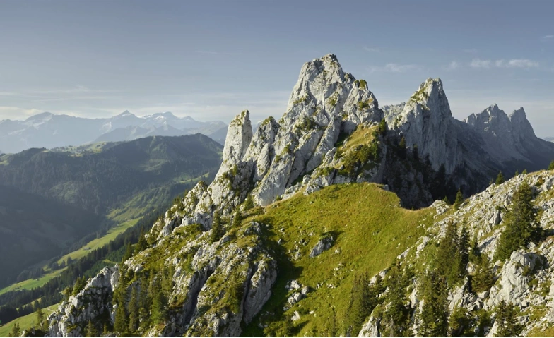 Event-Image for 'Digital Detox Camps Sommer 2026'