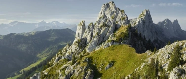 Event-Image for 'Digital Detox Camps Sommer 2026'