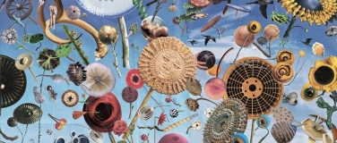 Event-Image for 'Vernissage della mostra "Energia"'