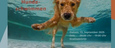 Event-Image for 'Hundeschwimmen'