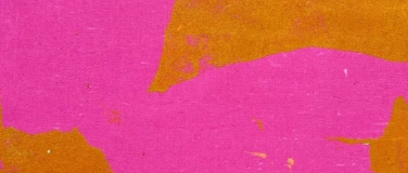 Event-Image for 'Streifenwahl und Punktetiger'