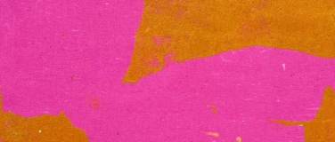 Event-Image for 'Streifenwahl und Punktetiger'