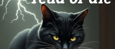 Event-Image for 'read or die – das toll dreiste Literaturquiz'