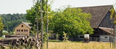 Event-Image for 'Buurezmorge auf dem Hof Adlerzart mit Hoff&uuml;hrung'