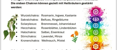 Event-Image for 'Neue Yogastunde'