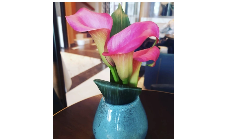 Event-Image for 'REIKI 1 Seminar am Sa 11. April 2026 ️*Mittagessen geschenk'