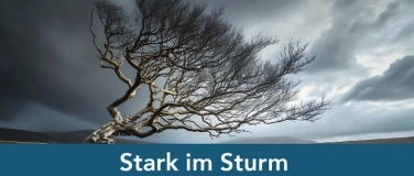 Event-Image for 'KBC Inspire: Stark im Sturm - Growth Mindset'