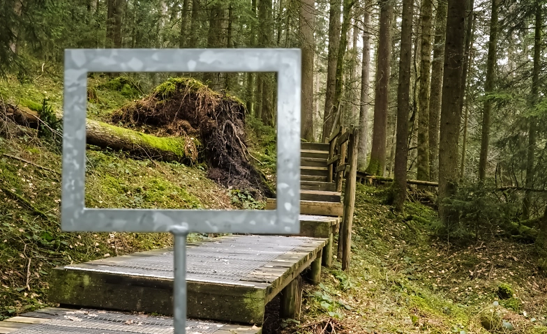 Lebens&uuml;berg&auml;nge als Chance Billets