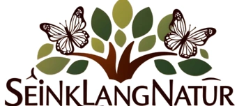 Veranstalter:in von Aura R&auml;ucherung &ndash; R&auml;ucherworkshop