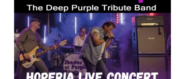 Event-Image for 'Shades of Purple - Live Konzert'