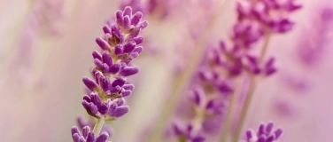 Event-Image for 'Resilienz &ndash; So st&auml;rke ich mein Kind'