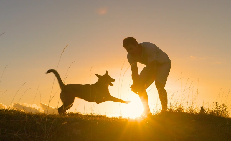 Ich & Lebendigkeit - Wenn Freude keinen Platz mehr findet.
