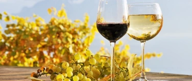 Event-Image for 'Wine & Lunch'