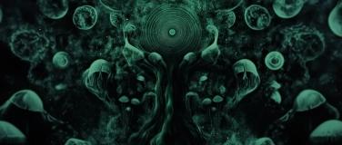 Event-Image for 'FOREST SHELTER BLAST'
