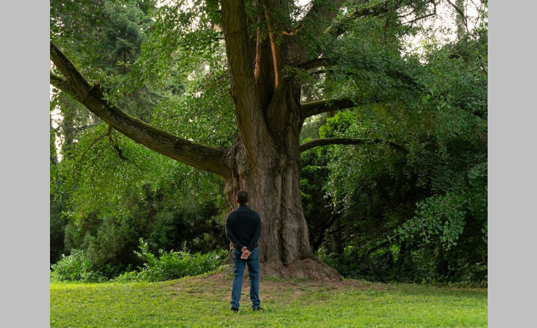 Event-Image for 'Silent Friend'