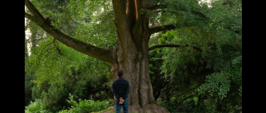 Event-Image for 'Silent Friend'