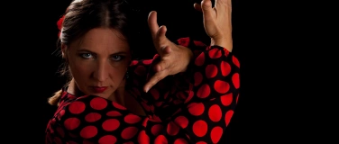 Event-Image for 'Festival der Stille: Barock-Flamenco mit ibaroccoli'