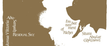 Event-Image for 'Sitara Abuzar Ghaznawi &ndash; Embarrassment of Riches'