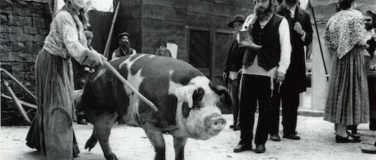 Event-Image for 'Skino im Kunstmuseum'