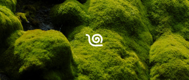 Event-Image for 'Yin Yoga test'