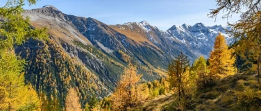 Event-Image for 'Praxistagung AG Wald & Wildtiere und AG Waldbiodiversität'
