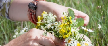 Event-Image for 'Im Rhythmus der Natur - Die Fülle des Sommers'