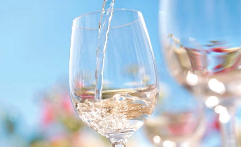 Event-Image for 'Delinat Sommerfest 2025'