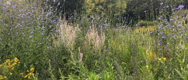 Event-Image for 'Naturschutzverein Bülach: Lebendiger Garten'