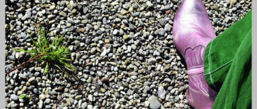 Event-Image for 'Sonderausstellung &laquo;Kleiner Kiesel ganz gross&raquo;'