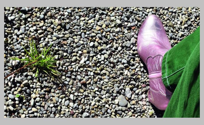 Event-Image for 'Sonderausstellung &laquo;Kleiner Kiesel ganz gross&raquo;'