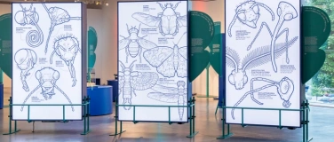 Event-Image for 'English guided tour: «Arthropods – terribly fascinating»'