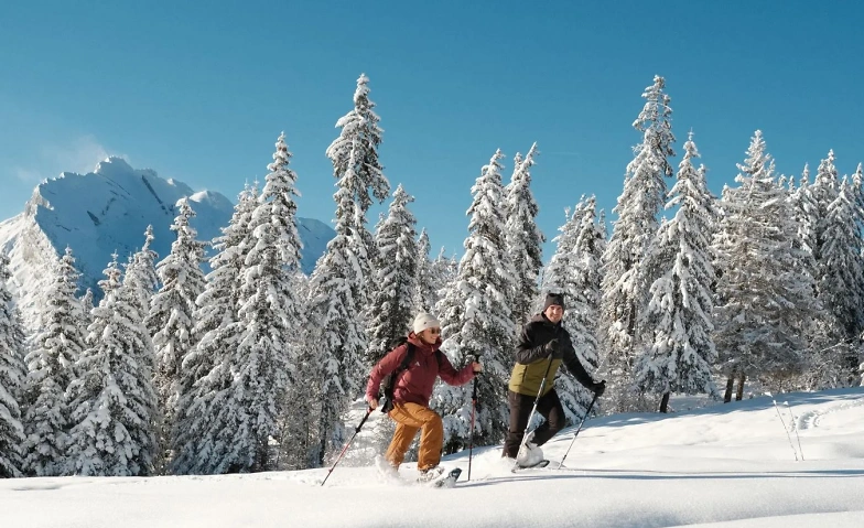 Schneeschuhtour im Allgäu Tickets