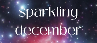 Event organiser of sparkling december