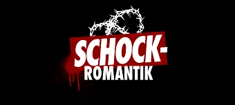 Organisateur de 20 Jahre Punkrock - Schockromantik live im H&uuml;weg