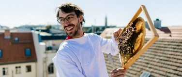 Event-Image for 'Ökologisch Imkern lernen in Berlin-Wedding'