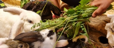 Event-Image for 'Stall-Zwergengruppe (Kursnr. 1.4e)'