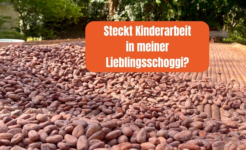 Warum steckt Kinderarbeit in unserer Schoggi? (inkl.) Tickets