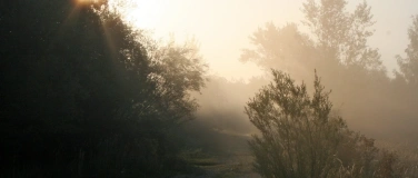 Event-Image for 'Wie der Rabe das Licht brachte'