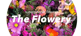 Organisateur de Music, Drinks & Flowers_Hoop binden mit THE FLOWERY
