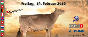 Event-Image for 'IGBS Ausstellung 2025'