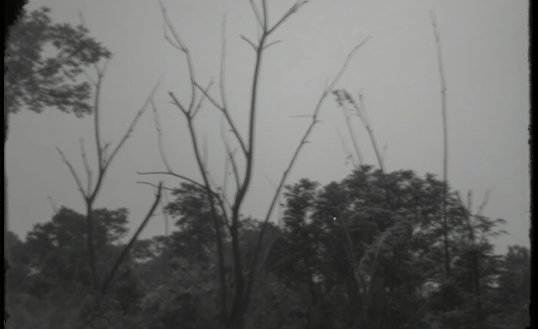 Event-Image for 'Sung Tieu'