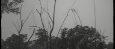 Event-Image for 'Sung Tieu'