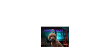 Event-Image for 'DRUM  CIRCLE'