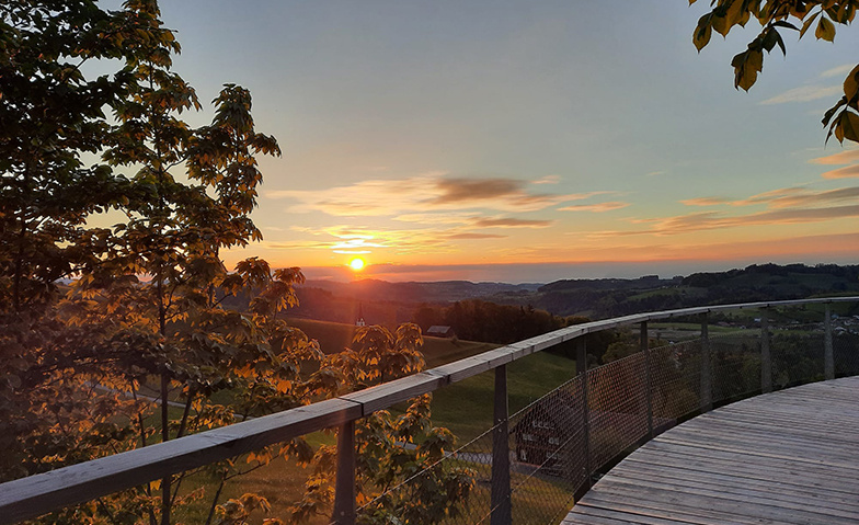 Einmaliges Sunset-Laternen Picknick auf dem Baumwipfelpfad Baumwipfelpfad Neckertal, Mogelsberg Tickets