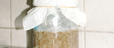 Event-Image for 'Koji & Miso Fermentations Workshop'