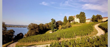 Event-Image for '«Suuser Fäscht» am Arenenberg'