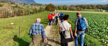Event-Image for 'Zämegolaufe: gemeinsame Spazierwanderung'