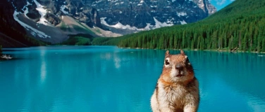 Event-Image for '«Wildnis Amerika – Der Ruf des Nordens» ⸱  Live Multimdia'